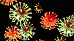 The Pandemic Digital Twin